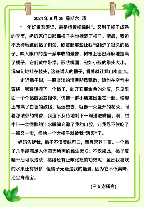 开心农场偷菜种菜心得 如何成为农场高手
