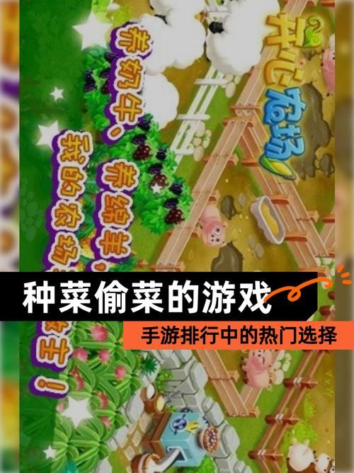 开心农场偷菜种菜心得 如何成为农场高手