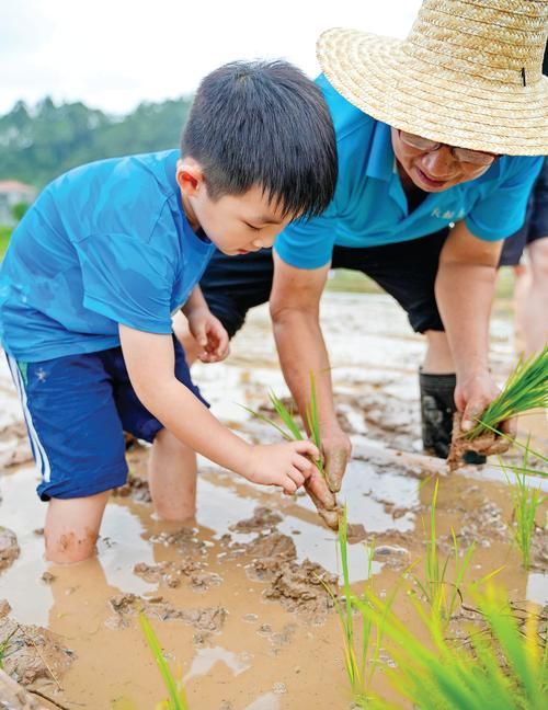 开心农场偷菜种菜心得 如何成为农场高手