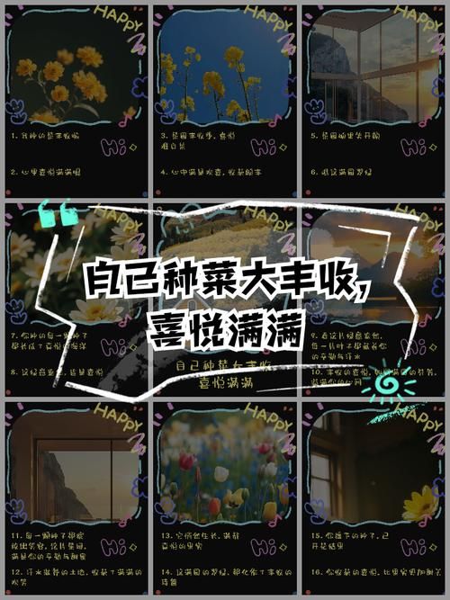 开心农场偷菜种菜心得 如何成为农场高手