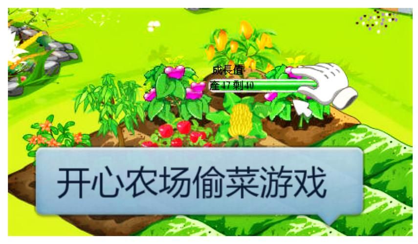 开心农场偷菜种菜心得 如何成为农场高手