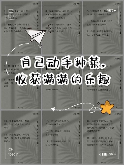 开心农场偷菜种菜心得 如何成为农场高手