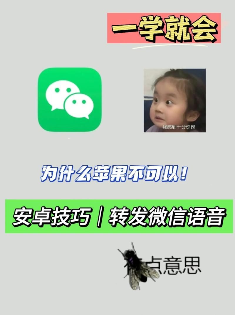 微信语音转发助手下载安装 简单几步轻松搞定