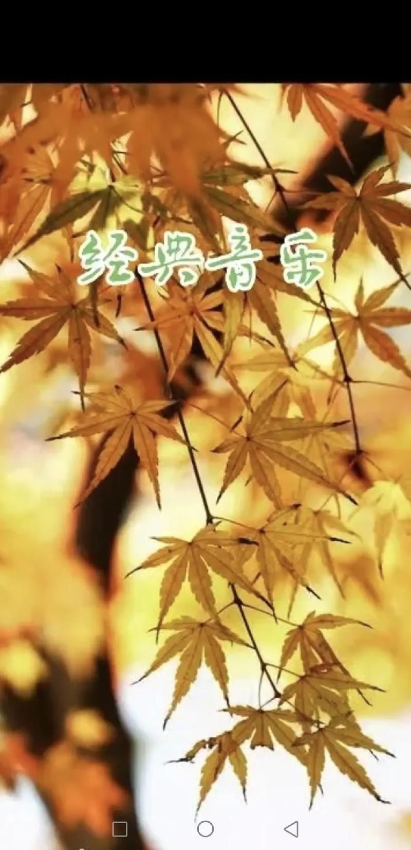 心术片尾曲叫什么哪里可以听完整版