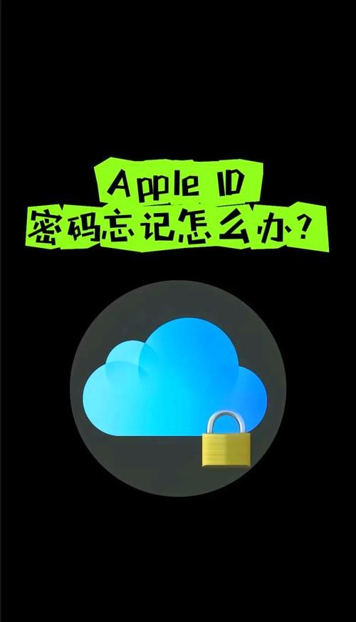 忘记学生账号密码如何找回详细操作流程