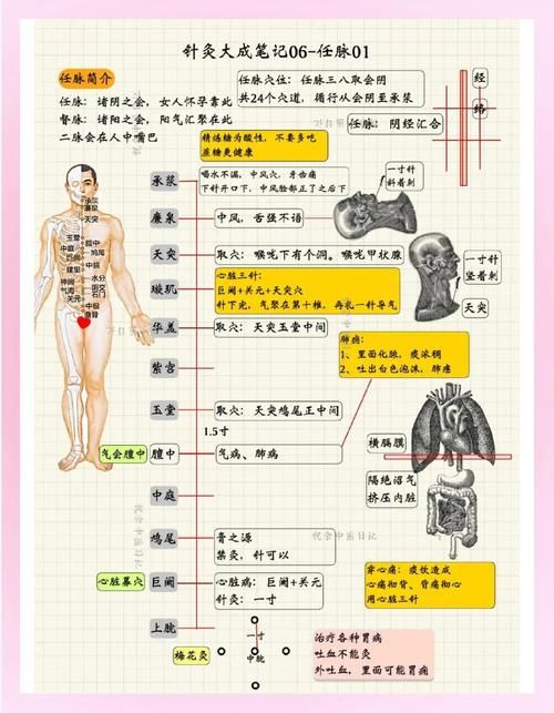 怎么打通任督二脉 中医师傅亲授的有效技巧