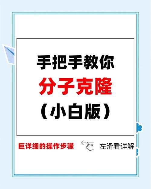 怎样克隆空间免费 小白也能学会的空间克隆技巧