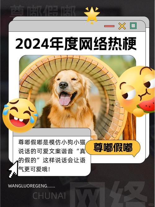 怨种梗来源大揭秘 这个网络热词到底啥意思