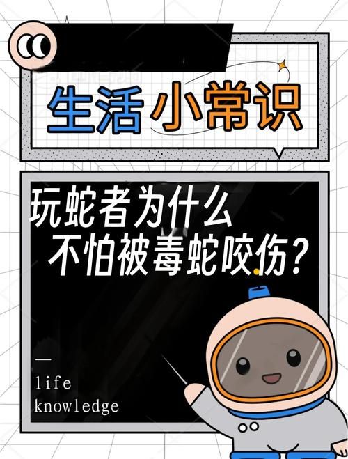 恐怖丛林生存攻略 遇到毒虫蛇蚁该怎么办