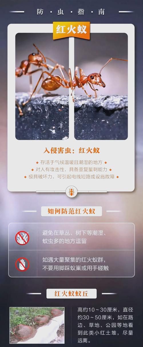恐怖丛林生存攻略 遇到毒虫蛇蚁该怎么办