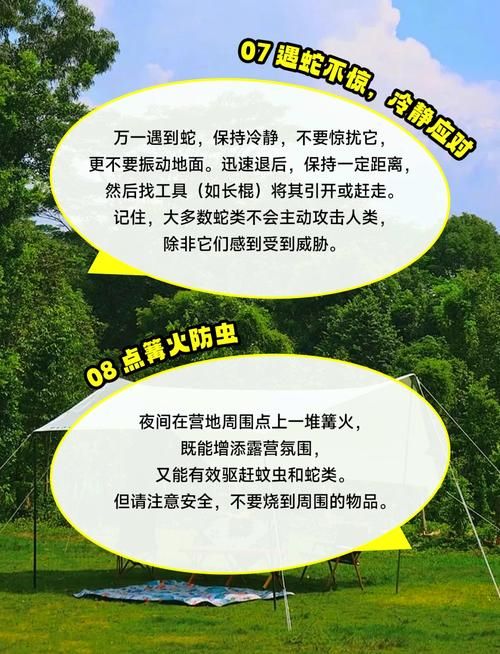 恐怖丛林生存攻略 遇到毒虫蛇蚁该怎么办
