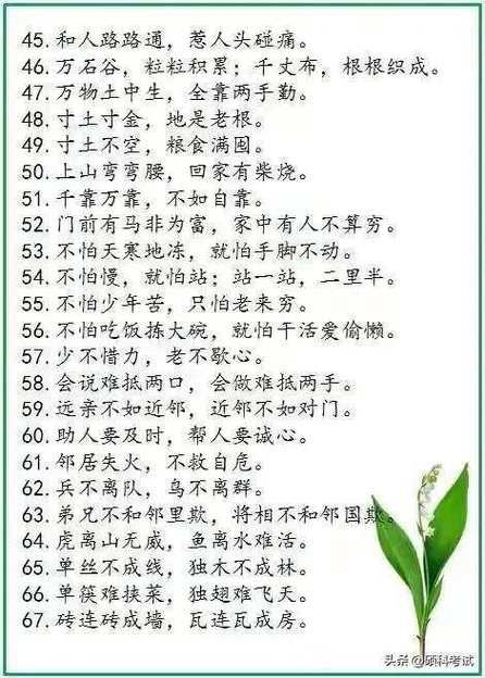 悬剑空垄打一生肖老祖宗的智慧告诉你答案