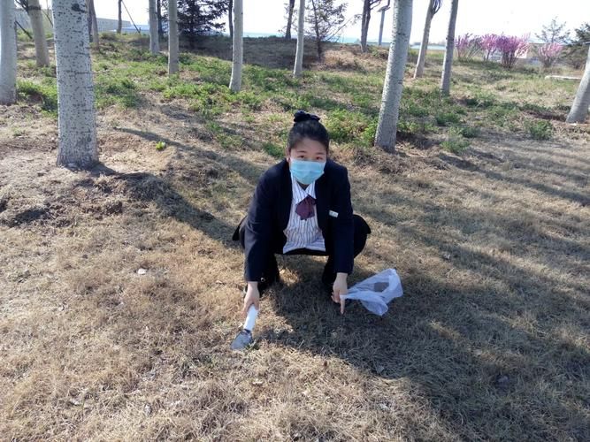 惊天动地光环选择解析 不同职业光环搭配推荐