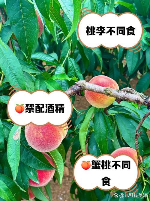 想桃子吃是啥意思原来这个梗这么有趣