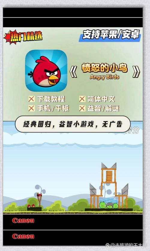 愤怒的小鸟玩不了别着急 试试这几个解决方法
