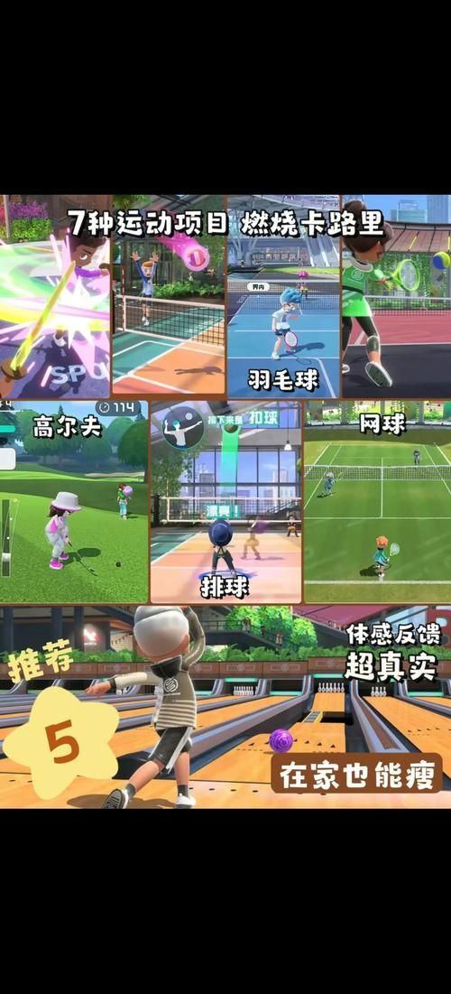 成年男人玩的游戏精选高评分耐玩佳作合集