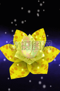 手机动态图片大全合集 每天更新百款动图素材