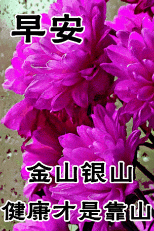 手机动态图片大全合集 每天更新百款动图素材