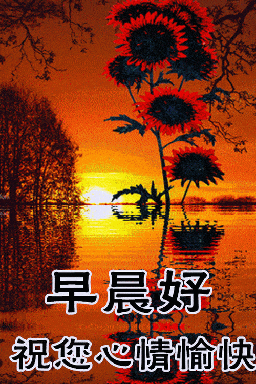 手机动态图片大全合集 每天更新百款动图素材