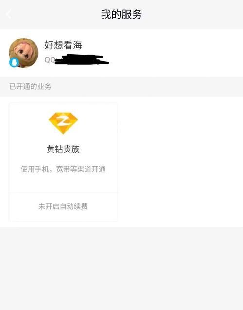 手机怎么开通黄钻 详细步骤图文解析