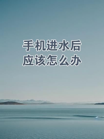 手机进水按键失灵还能用吗 专家告诉你答案