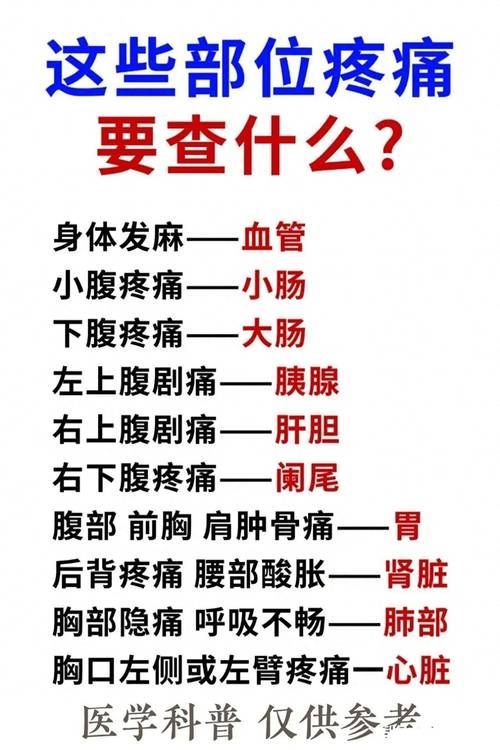 打女孩子哪里最疼教育孩子这些部位不能碰