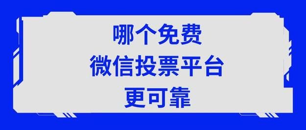 投票找精英投票网靠谱吗真实用户分享使用体验