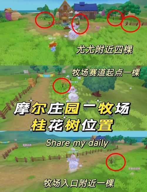 摩尔庄园瑞琪在哪刷新 最新位置图解教程