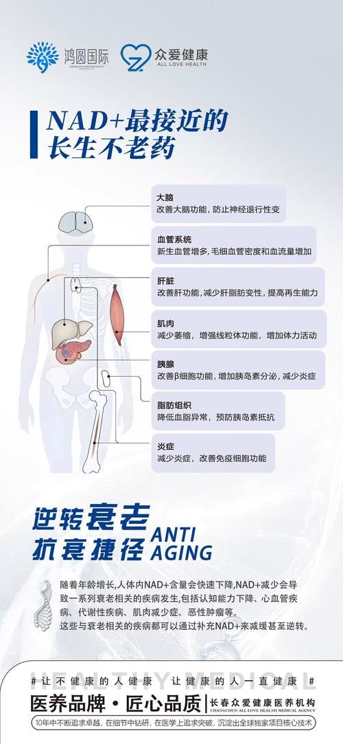新手必看nadesico的入门指南和常见问题