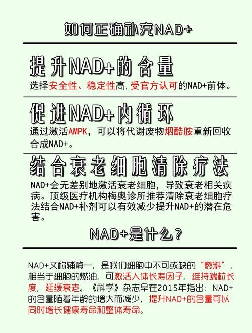 新手必看nadesico的入门指南和常见问题
