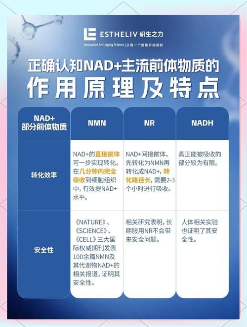 新手必看nadesico的入门指南和常见问题