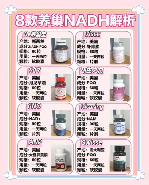 新手必看nadesico的入门指南和常见问题