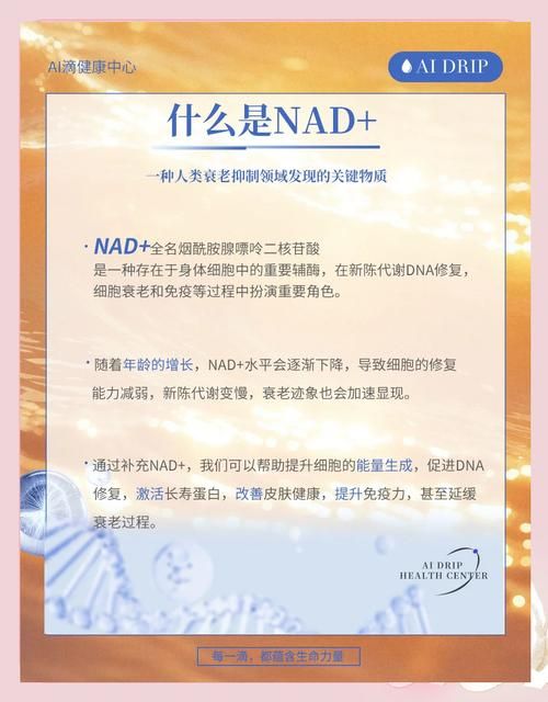 新手必看nadesico的入门指南和常见问题