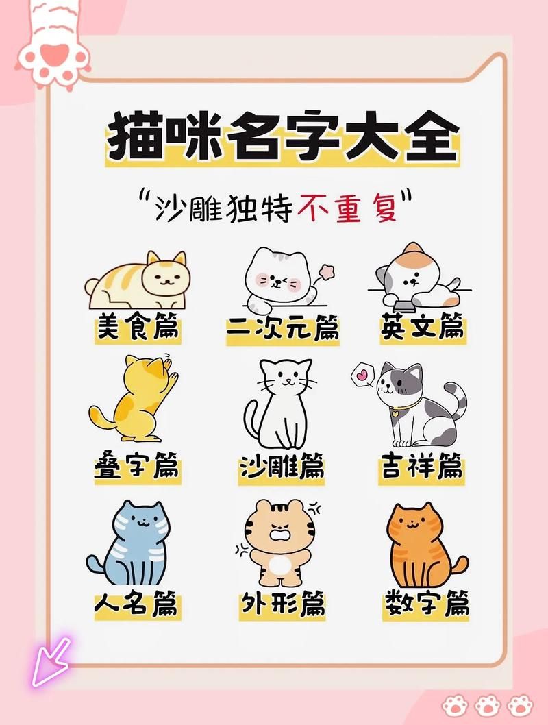 新版猫咪地域网名推荐 让你的爱猫名字更有个性