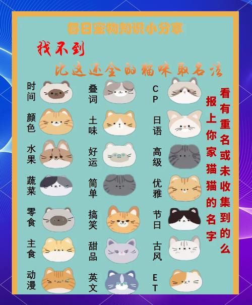 新版猫咪地域网名推荐 让你的爱猫名字更有个性