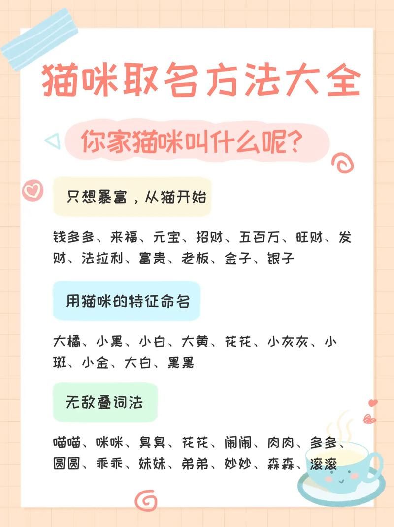 新版猫咪地域网名推荐 让你的爱猫名字更有个性