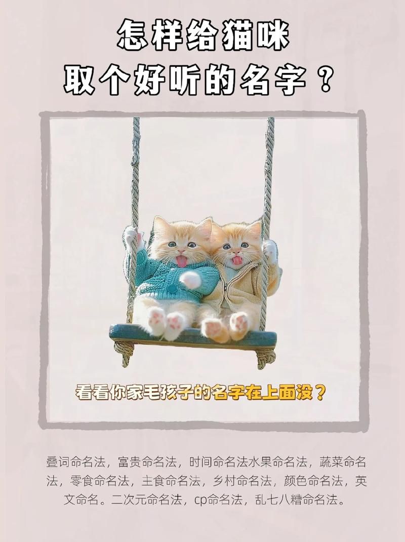 新版猫咪地域网名推荐 让你的爱猫名字更有个性