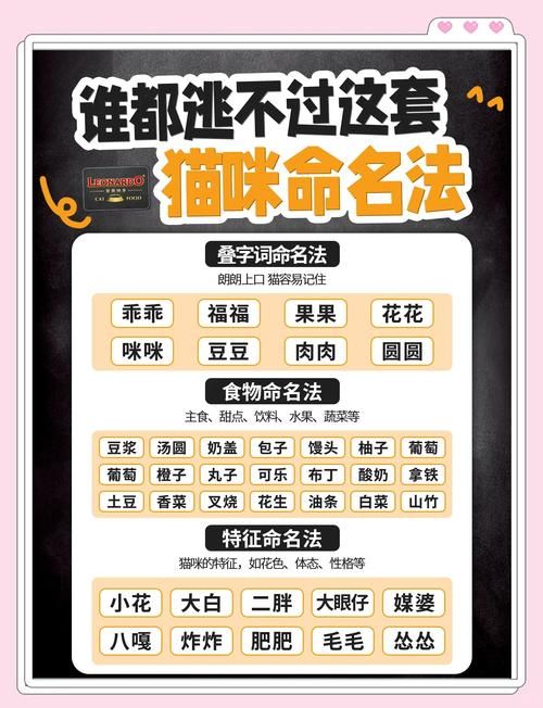 新版猫咪地域网名推荐 让你的爱猫名字更有个性