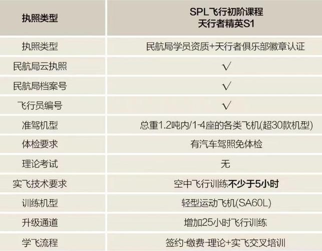 新飞飞什么职业好 五大职业优缺点全面分析