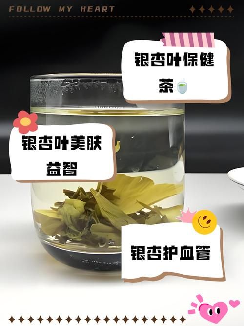 新鲜银杏叶泡水能天天喝吗 听听专家怎么说