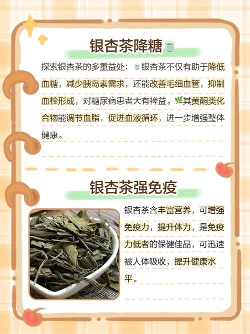 新鲜银杏叶泡水能天天喝吗 听听专家怎么说