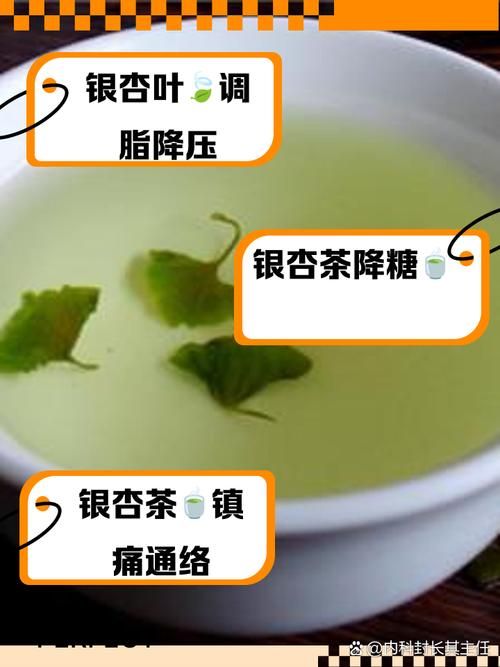 新鲜银杏叶泡水能天天喝吗 听听专家怎么说