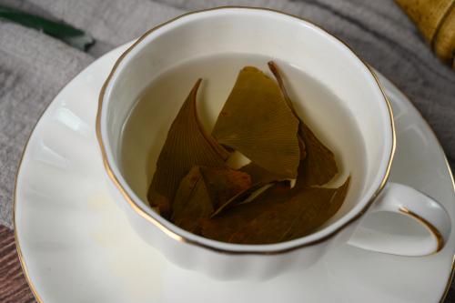 新鲜银杏叶泡水能天天喝吗 听听专家怎么说