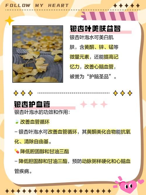 新鲜银杏叶泡水能天天喝吗 听听专家怎么说