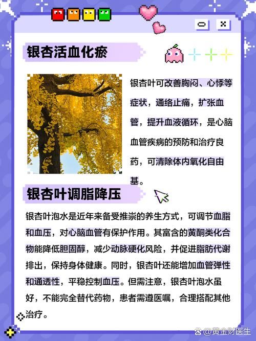 新鲜银杏叶泡水能天天喝吗 听听专家怎么说