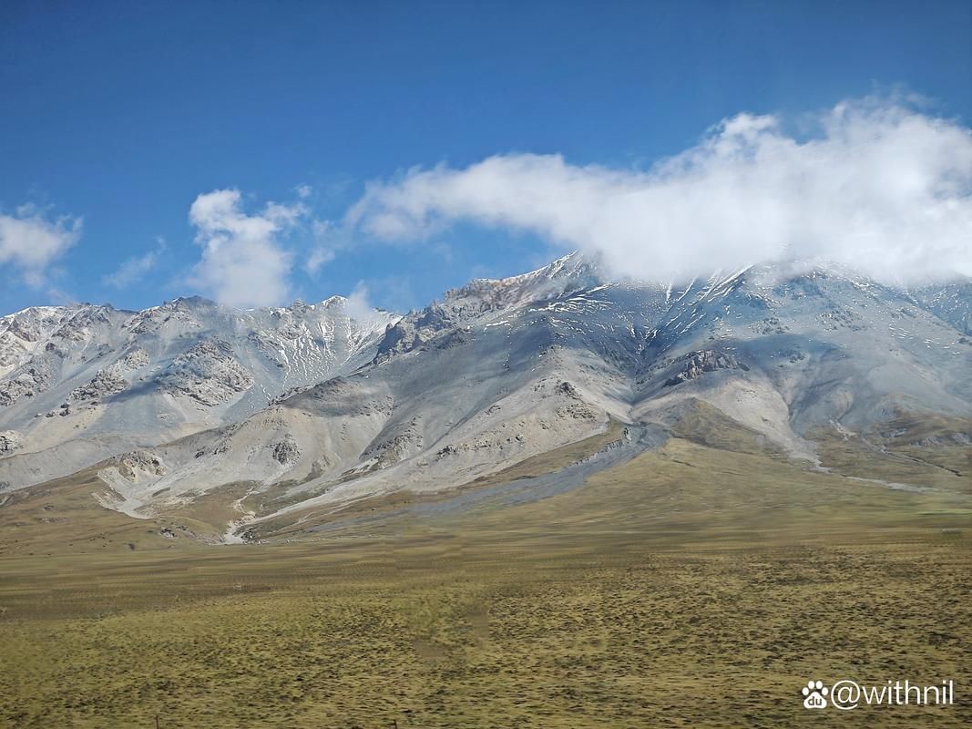 无依之地剧情介绍 感受女主角在路上的心灵旅程