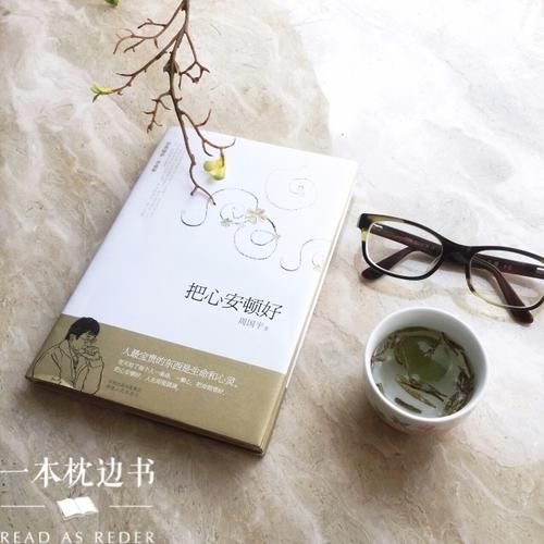 无依之地剧情介绍 感受女主角在路上的心灵旅程