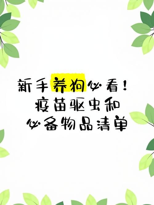 旺旺狗自动答题器下载安装教程新手必看指南