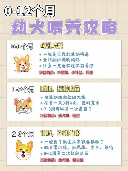 旺旺狗自动答题器下载安装教程新手必看指南