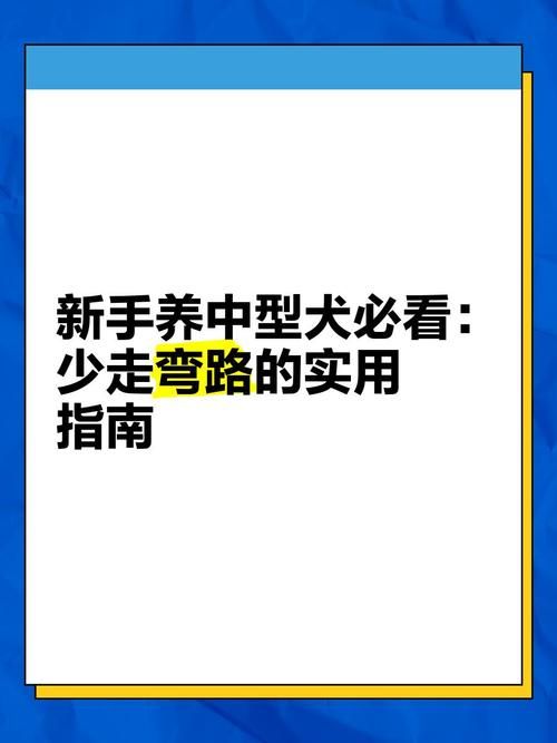 旺旺狗自动答题器下载安装教程新手必看指南